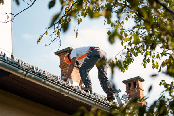 Best Roof Maintenance Services  in Gillett, WI