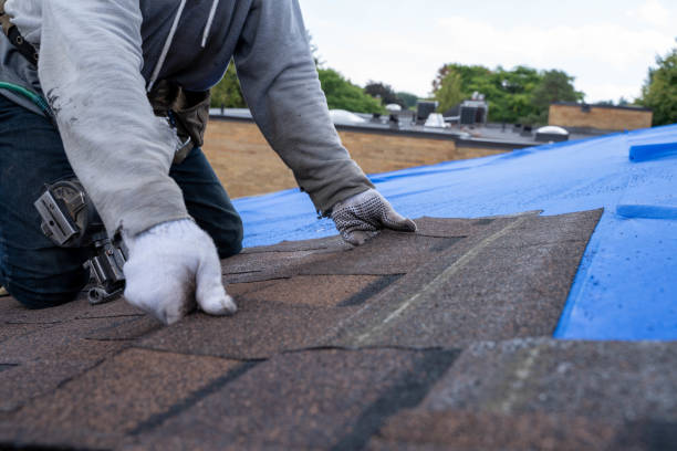 Best Metal Roofing Contractor  in Gillett, WI