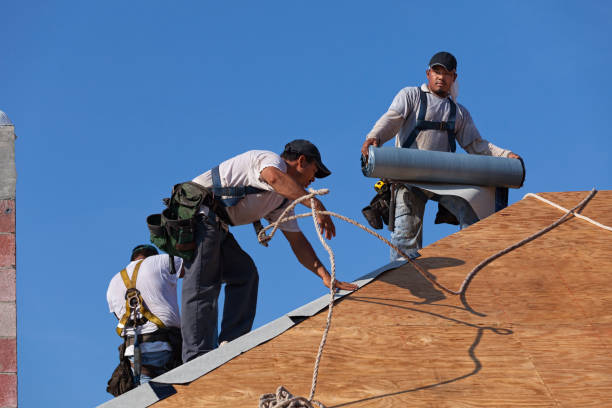 Best Roof Leak Repair  in Gillett, WI